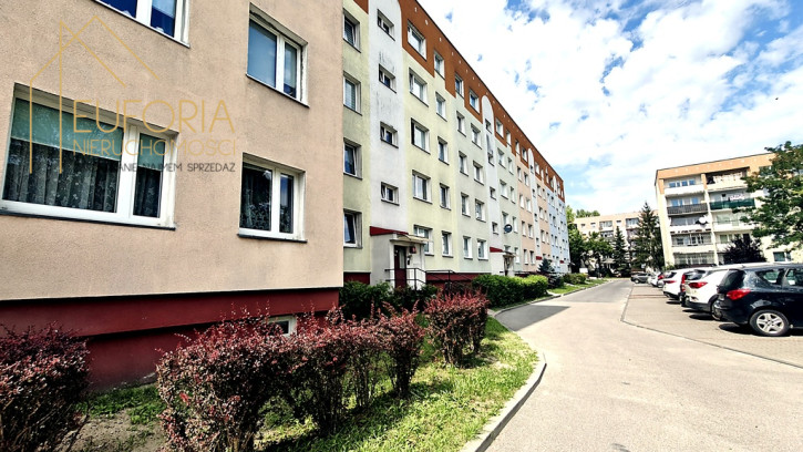 Mieszkanie Wynajem Łódź Łódź-Widzew Stanisława Czernika 15